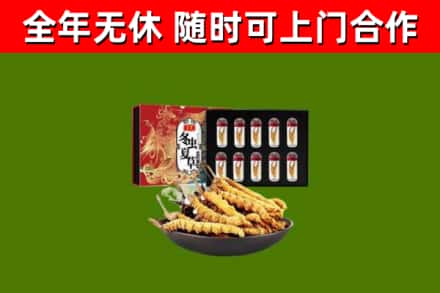 金昌回收冬虫夏草价格
